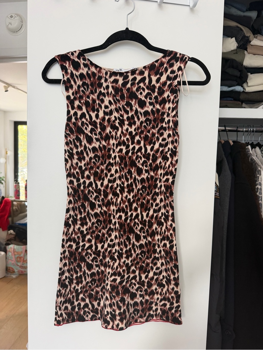 Zara Brown and Pink Leopard Print Mini Dress